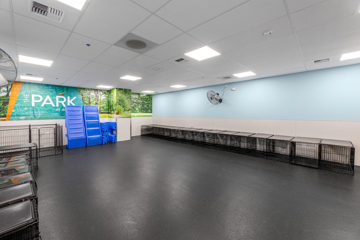 03.21.25_Dogtopia-Seattle_4397-scaled