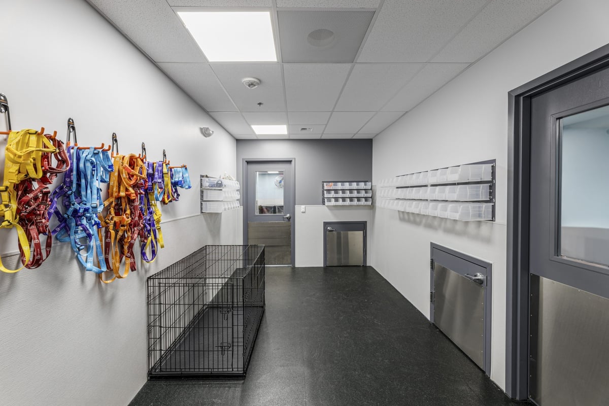 03.21.25_Dogtopia-Seattle_4418-scaled