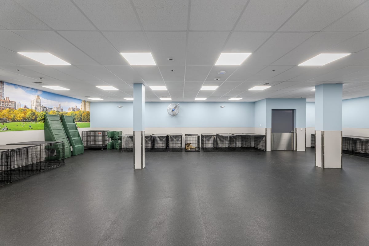 03.21.25_Dogtopia-Seattle_4424-scaled