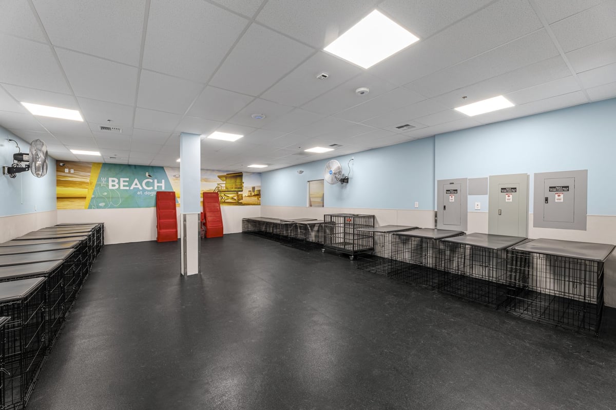 03.21.25_Dogtopia-Seattle_4442-scaled