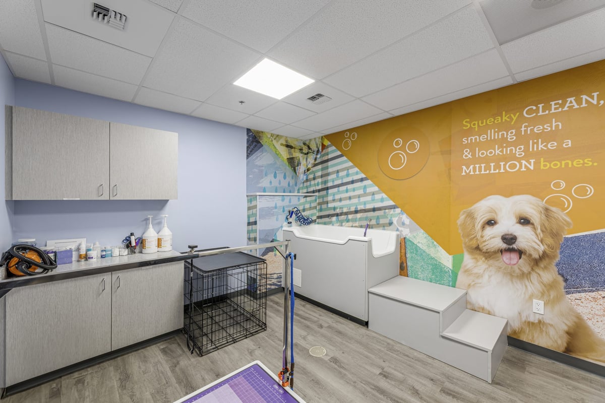 03.21.25_Dogtopia-Seattle_4451-scaled