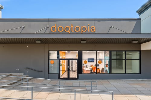 Dogtopia – Seattle