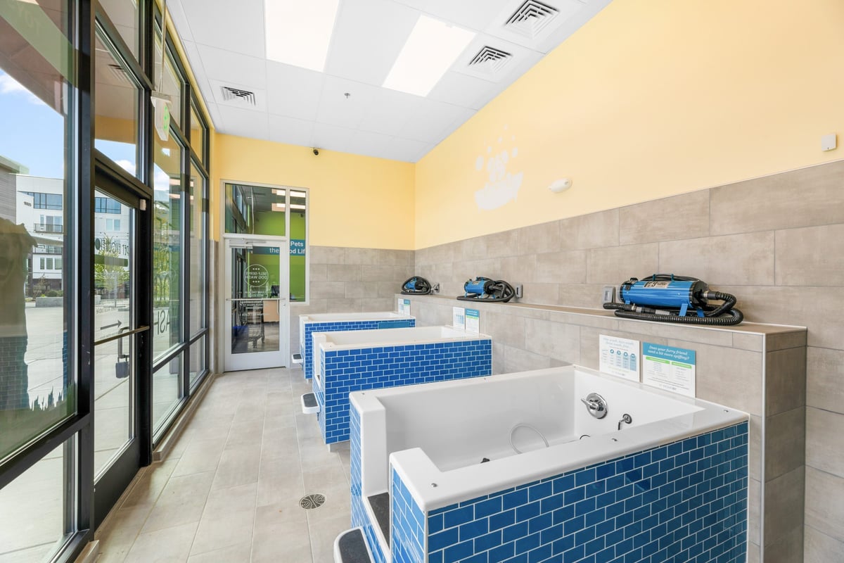 04.22.24_Pet-Evolution-Shoreline_1079-scaled