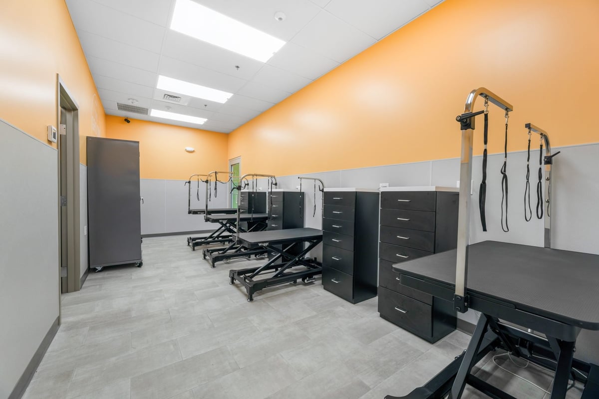 04.22.24_Pet-Evolution-Shoreline_1106-scaled