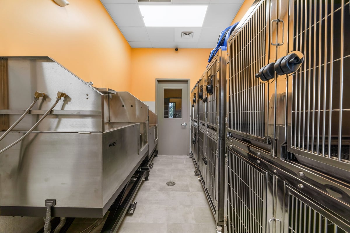 04.22.24_Pet-Evolution-Shoreline_1115-scaled