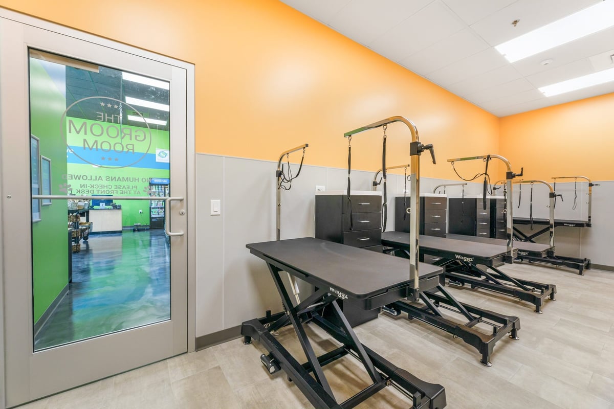 04.22.24_Pet-Evolution-Shoreline_1124-scaled