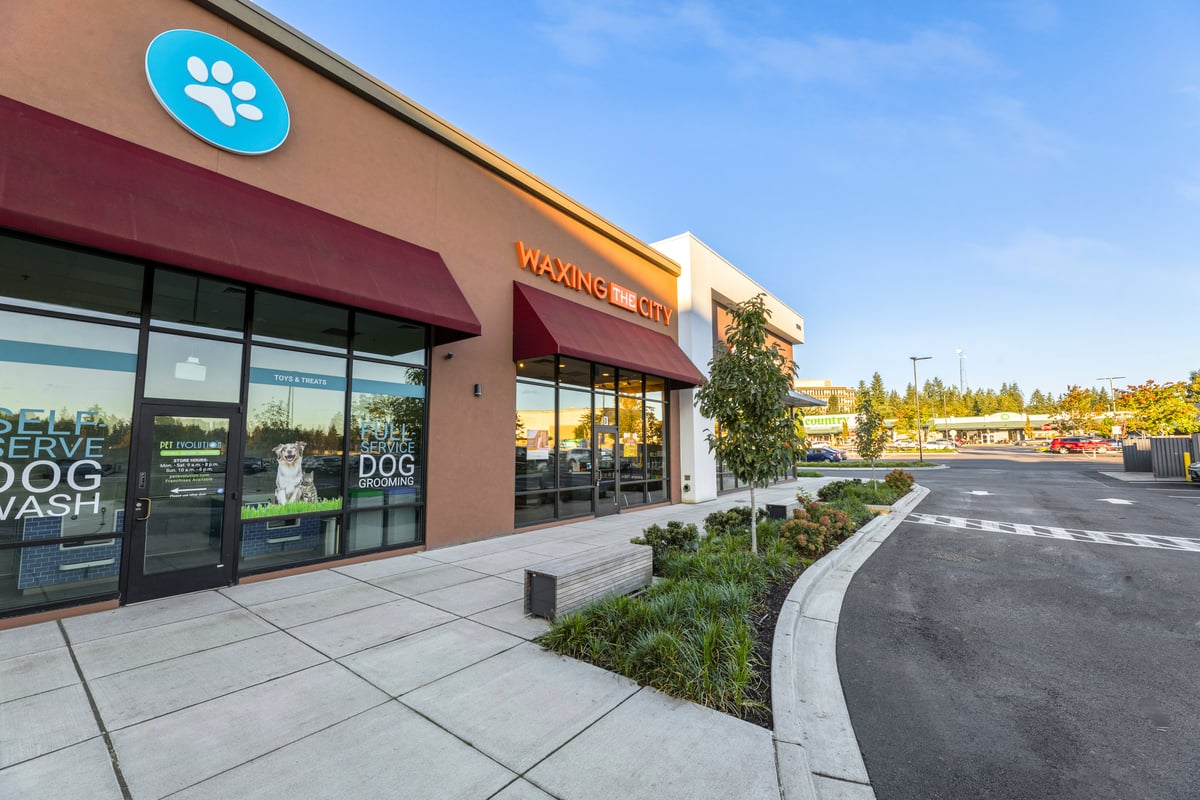 10.13.25_Wax In The City Shoreline_7009